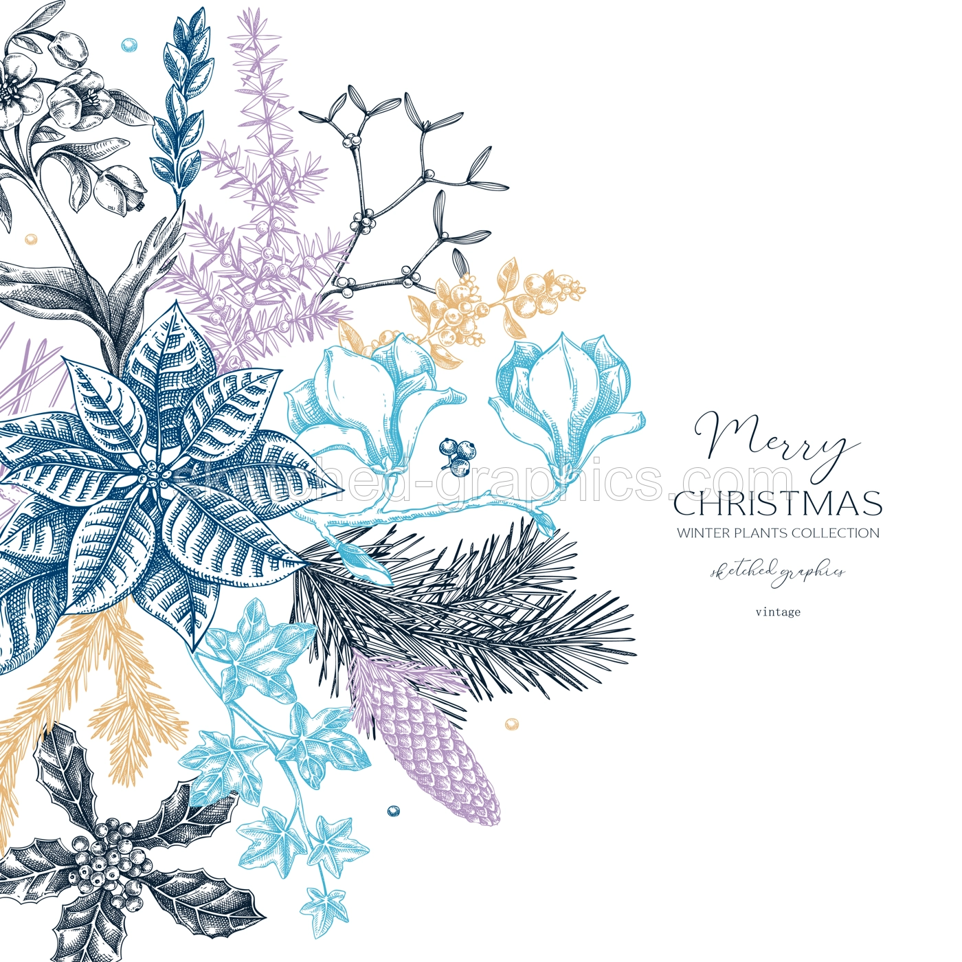 Merry Christmas card. Floral round composition. Evergreen plants, conifers, and cones sketches. Winter vector design.Hand-drawn botanical illustrations. NOT AI generated images Illustration